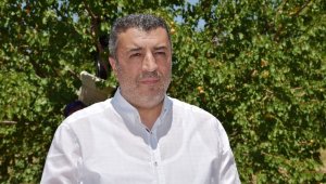 Borsa Başkanı Özcan'dan tahmini kayısı rekoltesi açıklaması