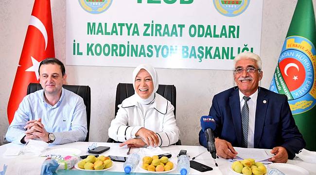 Amblem Logo Malatya Buyuksehir Belediyesi Sosyal Tesisleri