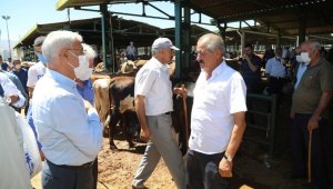 Güder; Bölgemizde hayvancılığın gelişmesi için projelerimiz var