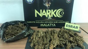 Malatya'da 1 Kilo Esrar Ele Geçirildi