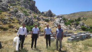 Pütürge'de Arıcılık günden güne gelişiyor