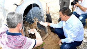 Vali Baruş ve Başkan Gürkan, Yaban Hayatı Gözlem Merkezini Ziyaret Etti