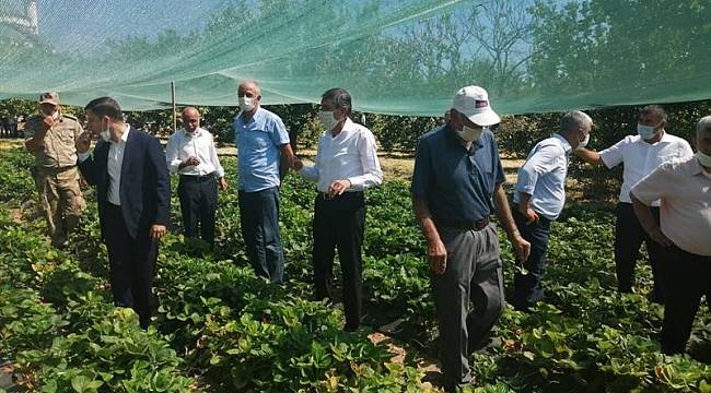 Malatya'da Çilek Tarla günü düzenlendi