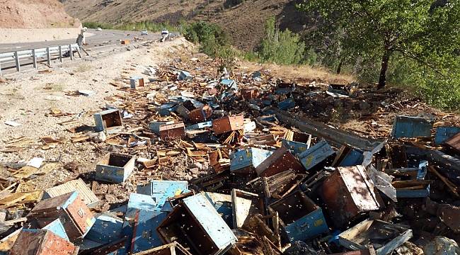 Arı kovanı yüklü kamyon devrildi: 3 ölü