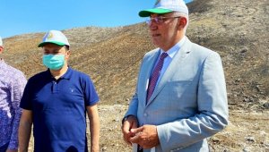 Beydağı'nda küle dönen 3 bin fidanın yerine yenileri dikilecek