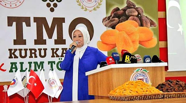Çalık; Kayısı Üreticisinin Yüzü Güldü