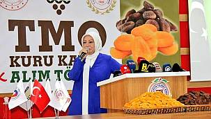 Çalık; Kayısı Üreticisinin Yüzü Güldü