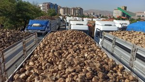Malatya'da Pancar Alım Başladı