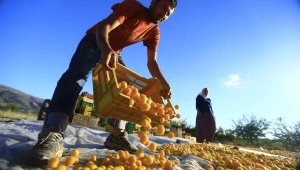 Özcan, Hedef 100 bin ton ihracat ile 500 milyon dolar