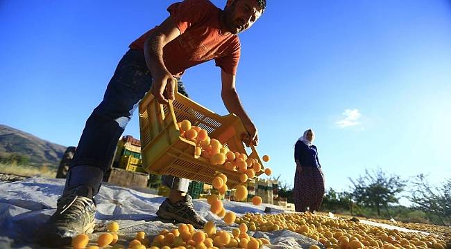 Özcan, Hedef 100 bin ton ihracat ile 500 milyon dolar