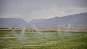 83 milyonluk ürün hasadı çiftçilerin yüzünü güldürdü