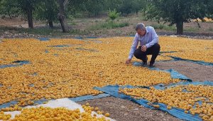 Çınar, 16 Ekim Dünya Gıda Gününü kutladı