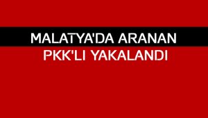 Malatya'da aranan PKK'lı yakalandı