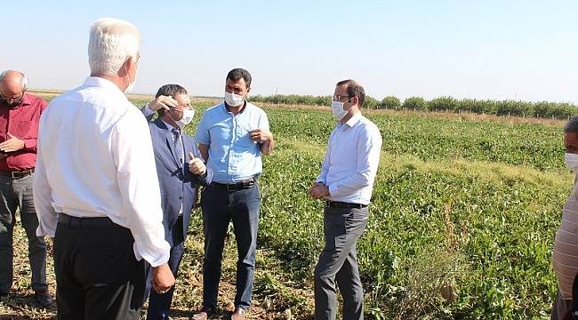 Yazıhan'da pancar hasadı başladı