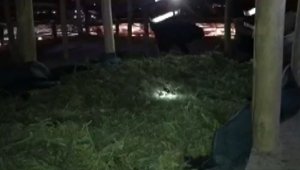 Zehir Tacirleri Yakalandı