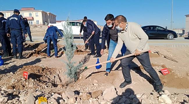 Akçadağ'da Bin adet fidan toprakla buluştu