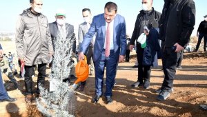 Başkan Gürkan; 150 Bin Fidan Toprakla Buluştu