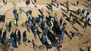 Beylerderesi'ne Öğretmenler Ormanı kuruldu
