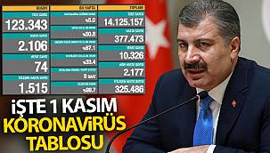 Son 24 saatte korona virüsten 74 kişi hayatını kaybetti