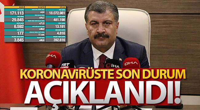 Türkiye'de son 24 saatte 29.845 koronavirüs vakası tespit edildi