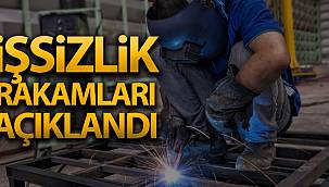 İşsizlik Rakamları Açıklandı