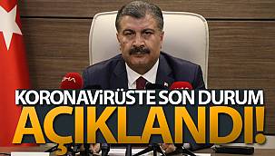 Son 24 saatte 251 kişi korona virüsten hayatını kaybetti