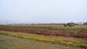 Yeşilyurt Belediyesi, süs bitkisi çeşitliliğini artırdı