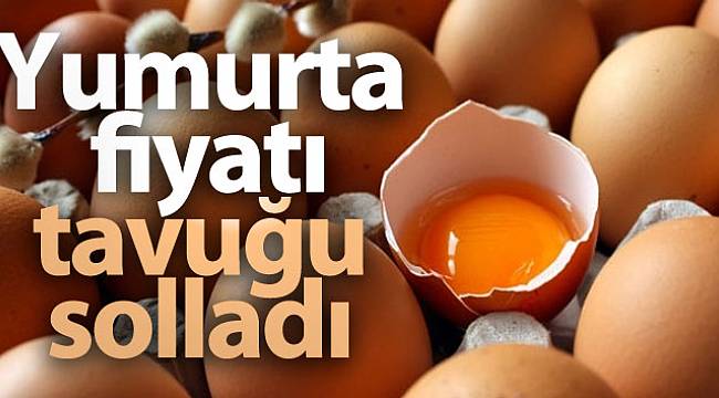 Yumurta tavuk fiyatını geçti