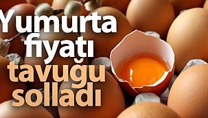 Yumurta tavuk fiyatını geçti