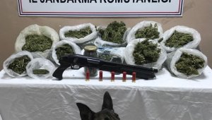 5 kilo 300 gram esrar ele geçirildi