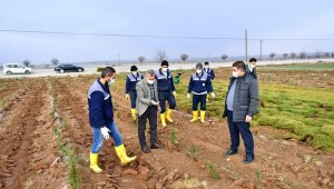 Çınar, tarımsal üretim ve ar-ge sahasında ki çalışmaları inceledi