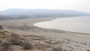 Kuraklık alarmı Malatya için de çalıyor