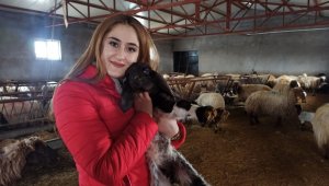 Kuzulama dönemi başladı