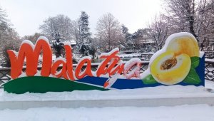 Malatya'da Kar Sevinci