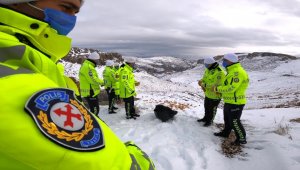 Trafik polisleri doğaya yem bıraktı