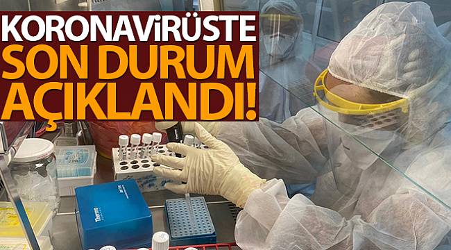 Vaka Sayısında Düşüş Devam Ediyor