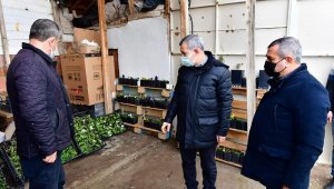 Yeşilyurt Belediyesi, 2021 yılında 200 bin sebze ve meyve fidanı dağıtılacak