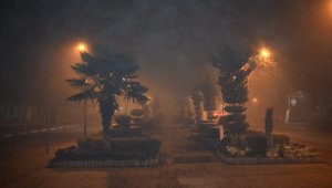 Yoğun sis kartpostallık görüntüler oluşturdu