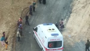 Köpeklerin saldırısına uğrayan kadın yaralandı
