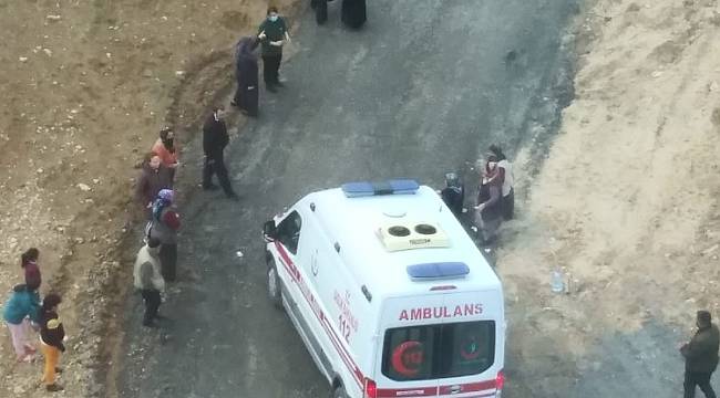 Köpeklerin saldırısına uğrayan kadın yaralandı