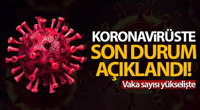 Son 24 saatte 8.103 koronavirüs vakası tespit edildi