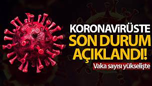 Son 24 saatte 8.103 koronavirüs vakası tespit edildi