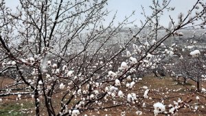 Kar yağışı üreticileri endişelendiriyor