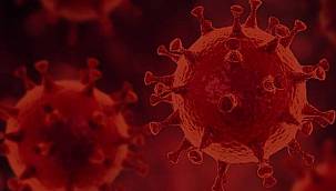 Korona virüsten 339 kişi hayatını kaybetti