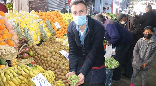 Malatya'da Mut kayısı satılıyor