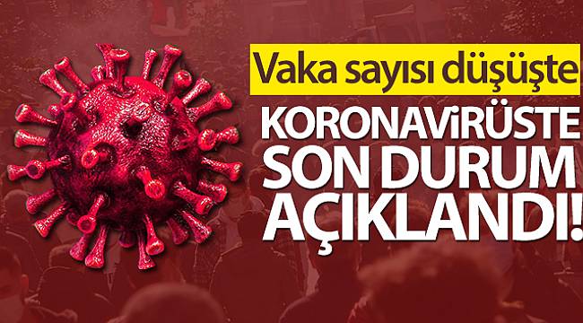 Vaka Sayısı Düşüşte
