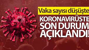 Vaka Sayısı Düşüşte