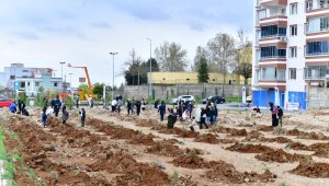 Yeşilyurt'ta fidan dikme kampanyasına destek