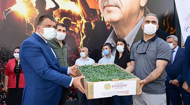 Büyükşehir'den Dondan Zarar Gören Çiftçilere Fide Desteği