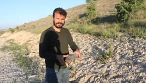 Kaplumbağaya şefkat eli
